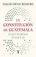 La Constitución de Guatemala, actividades en Washington y New York / The Constitution of Guatemala: Activities in Washington and New York (Spanish Edition) 6073858264 Book Cover