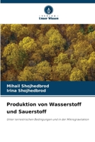Produktion von Wasserstoff und Sauerstoff (German Edition) 6209960685 Book Cover
