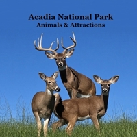 Acadia National Park Animals and Attractions Kids Book: Great Way for Kids to See the Animals and Attractions in Acadia National Park 1960612913 Book Cover