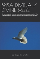 BRISA DIVINA / DIVINE BREEZE: El suave soplo de Dios que renueva el alma y guía el corazón / The Gentle Breath of God That Renews the Soul and Guides ... Camino de Oración) (Spanish Edition) B0H2WFFMPS Book Cover