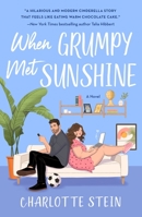 When Grumpy Met Sunshine 1250867932 Book Cover