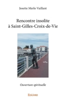 Rencontre insolite à Saint-Gilles-Croix-de-Vie (French Edition) 2414289406 Book Cover