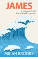 James: A Fresh, New Five Day Bible Study and Commentary: Volume 3 (The Everyday Bible Series) 099719409X Book Cover