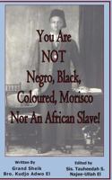 You Are Not Negro, Black, Coloured, Morisco Nor an African Slave! 1505546141 Book Cover