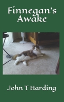 Finnegan's Awake B085K6JMNV Book Cover