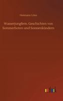 Wasserjungfern: Geschichten Von Sommerboten Und Sonnenkundern 1977569706 Book Cover