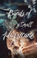 Bands of a Small Hurricane 195816402X Book Cover