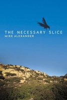 The Necessary Slice B0HGYZV9H7 Book Cover