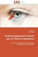 Endommagements Induits Par La Thermo Oxydation 3841789250 Book Cover