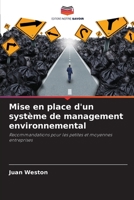 Mise en place d'un système de management environnemental: Recommandations pour les petites et moyennes entreprises 6205609908 Book Cover