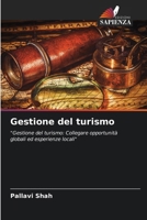 Gestione del turismo (Italian Edition) 6208612225 Book Cover