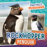 Rockhopper Penguin B0GN688NC1 Book Cover