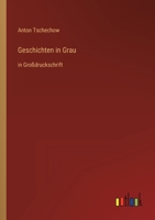 Geschichten in Grau: in Großdruckschrift 3368288369 Book Cover