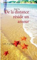 De la distance réside un amour 2322035629 Book Cover