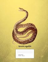 Snake Boa Constrictor Composition Book College Ruled: Notebook 200 pages 100 sheets 1725606879 Book Cover