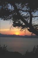 Falcolm and The rage of Cronus 1652030344 Book Cover