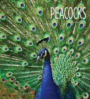 Peacocks 1682773469 Book Cover