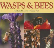 Wasps & Bees 0768523087 Book Cover