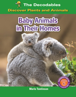 Baby Animals in Their Homes B0GN7SPX8J Book Cover