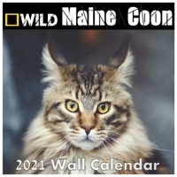 Maine Coon calendar 2021: Maine Coon calendar 2021 "8.5x8.5" Inch 16 Months JAN 2021 TO APR 2022 finished and Glossy B08RB6LMFM Book Cover