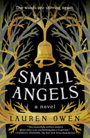 Small Angels: A Novel 059324222X Book Cover