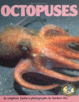 Octopuses (Early Bird Nature Books) 082250068X Book Cover