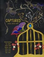 Chasing Butterflies 1105413535 Book Cover