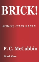 BRICK! Romeo, Julio & Lulu B0B6XX8RCY Book Cover