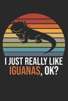 I Just Really Like Iguanas, OK?: DIN A5 Leguan Notizheft - 120 Seiten liniertes Leguan Notizbuch f�r Notizen in Schule, Universit�t, Arbeit oder zuhause. - Eine tolles Geschenk f�r Ihre Liebsten. 1670712125 Book Cover