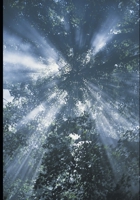 Psalms Hymns and Spiritual Songs from the Wilderness B0BYRJLNDC Book Cover