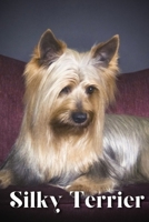 Silky Terrier: Dog breed overview and guide B0C9SHFST3 Book Cover