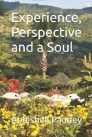 Experience, Perspective and a Soul B085DRDYKS Book Cover