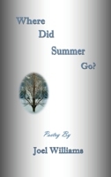Where Did Summer Go? B0F614H88Y Book Cover