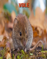 Vole: Learn About Vole and Enjoy Colorful Pictures B08MHQHQZL Book Cover