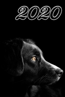 Yearly Calendar "Black Dog" for 2020: Jahreskalender, ann�e civile, a�o calendario, anni di calendario, jarenkalender in english, german, french, spanish, italian, dutsch 1673876331 Book Cover