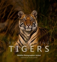 Remembering Tigers 1999643380 Book Cover