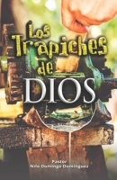 Los Trapiches de Dios: Ayuda durante el sufrimiento (Pastor Nilo - Coleccion de Libros) (Spanish Edition) B0DBL5D1QV Book Cover