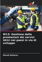 W13: Gestione delle prestazioni dei servizi idrici nei paesi in via di sviluppo 6205903814 Book Cover
