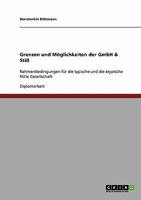 Grenzen Und Moglichkeiten Der Gmbh & Still 3958204767 Book Cover
