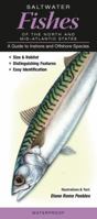 Saltwater Fishes of the North & Mid-Atlantic States: A Guide to Inshore & Offshore Species 1936913011 Book Cover