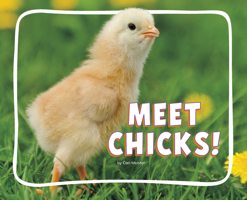 Meet Chicks! (Adorable Baby Animals) B0GHPXCNT9 Book Cover