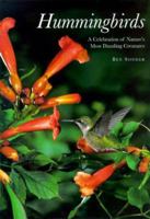 Hummingbirds: A Celebration of Nature's Most Dazzling Creatures 0762404205 Book Cover