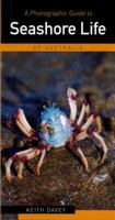 A Photographic Guide to Seashore Life of Australia (Photographic Guides) 1741102049 Book Cover