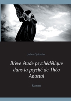 Brève étude psychédélique dans la psyché de Théo Anastal: Roman 2322248053 Book Cover