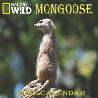 MONGOOSE Calendar 2022: MONGOOSE calendar 2022 "8.5x8.5" Inch 16 Months JAN 2022 TO APR 2023 finished and Glossy B094LGX8P5 Book Cover