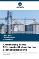 Anwendung eines Effizienzindikators in der Biomasseindustrie (German Edition) 6202737565 Book Cover