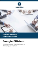 Energie-Effizienz 6207273230 Book Cover