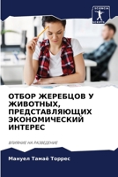 &#1054;&#1058;&#1041;&#1054;&#1056; &#1046;&#1045;&#1056;&#1045;&#1041;&#1062;&#1054;&#1042; &#1059; &#1046;&#1048;&#1042;&#1054;&#1058;&#1053;&#1067; 6205054264 Book Cover