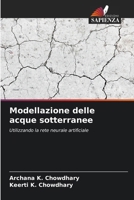 Modellazione delle acque sotterranee (Italian Edition) 6207509307 Book Cover