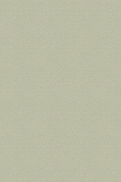 The Cyclopedic Law Dictionary Comprising the Terms and Phrases of 1886363854 Book Cover